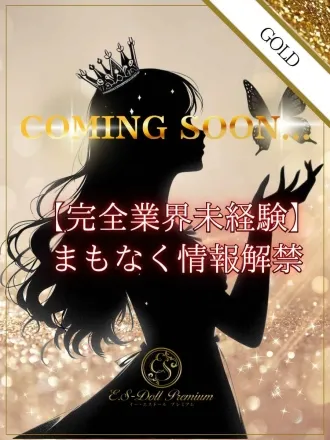 新人（完全業界未経験）