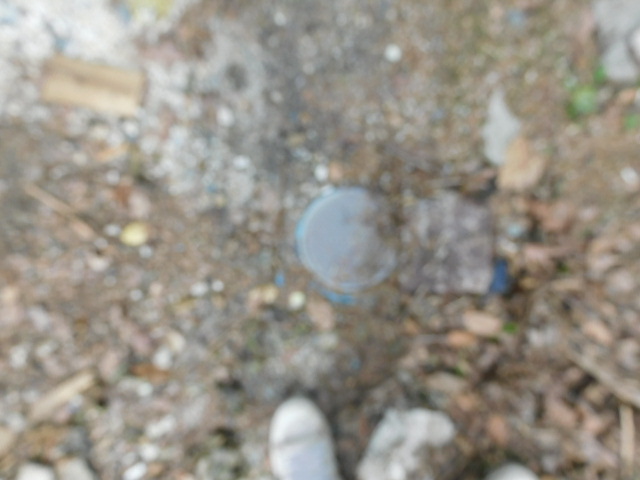 detached 〒395-0401 長野県下伊那郡阿智村清内路